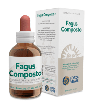 Fagus Composto