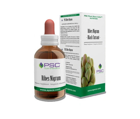 PSC Ribes Nigrum 15ml