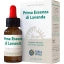 Prima Essenza Lavanda 10ml
